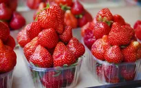 Australia: Ngành sản xuất nông sản bị đe dọa