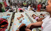 Dịch sốt xuất huyết ở Thái Lan khiến 69 người thiệt mạng