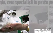 Virus dịch tả lợn châu Phi lan sang châu Âu: Đâu là nguyên nhân?