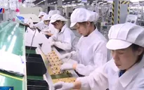 Việt Nam hội tụ những điểm thuận lợi để thu hút đầu tư nước ngoài