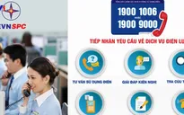 Điện lực miền Nam công bố đường dây nóng phục vụ khách hàng