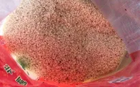 Trẻ mầm non Trung Quốc ăn gạo mốc, đùi gà thiu