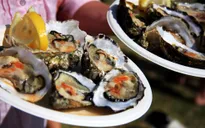 Khám phá "vương quốc hàu" Long Sơn