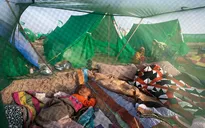 Niger: Bệnh nhi tử vong tăng đột biến do sốt rét