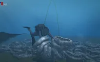 Pháp thu dọn 25.000 lốp xe ô tô phế thải dưới đáy biển