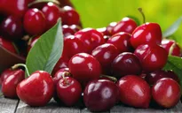 Gợi ý bữa sáng đầy đủ dinh dưỡng với sự kết hợp của các loại trái cây