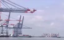 Kim ngạch xuất khẩu của Việt Nam sang Mỹ cao kỷ lục