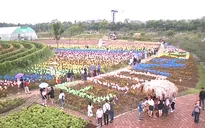 Hà Nội có công viên hoa hồng lớn nhất Việt Nam