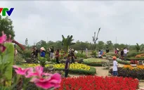 Độc đáo Khu du lịch sinh thái Đồng Nôi