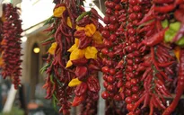 Hội chợ ớt truyền thống tại Italy