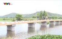 Những chiếc cầu trước mùa mưa cho học sinh vùng lũ
