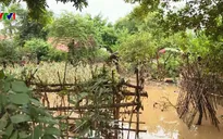 Tâm lý chủ quan khiến số người thiệt mạng do mưa lũ gia tăng