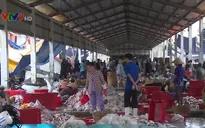 Kiên Giang truy xuất nguồn gốc thủy sản sau đánh bắt
