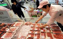 Hàn Quốc kiểm tra kỹ sản phẩm thịt bò từ Mỹ do lo ngại dịch bò điên