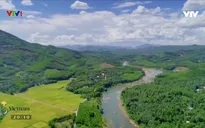 Những dòng sông chảy ngược ở Quảng Nam