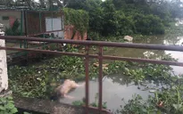 Phát hiện thi thể nam giới không mặc quần áo trên sông Sài Gòn
