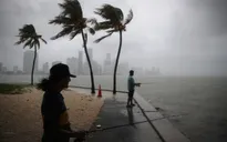 Bão nhiệt đới Gordon đổ bộ vào Florida, Mỹ