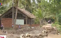 Sóc Trăng: Học sinh đi lại khó khăn vì sạt lở