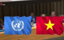 Việt Nam đóng góp tích cực vào Ủy ban Luật pháp quốc tế