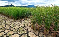 Thách thức hạn hán tại Đông Nam Á
