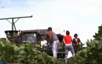 Anh nỗ lực giải quyết bài toán thiếu lao động do rời EU