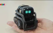 Robot mini - Bước tiến mới trong công nghệ thông minh