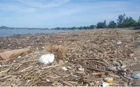 Bãi biển Nghệ An ngập rác sau mưa lớn