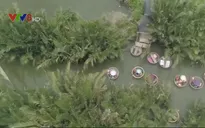 Hội An chấn chỉnh hoạt động du lịch tại rừng dừa bảy mẫu.