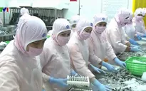 Sản phẩm tôm, cá tra chưa có được thương hiệu đủ lớn để cạnh tranh quốc tế