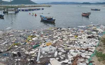 Vịnh Xuân Đài trước nguy cơ trở thành vùng “biển chết”