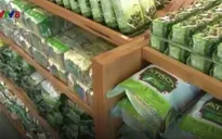 Lâm Đồng: 625 đơn vị nợ bảo hiểm xã hội