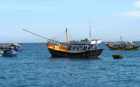 Bình Thuận: Nghề cá truyền thống bị hủy hại bởi giã cào bay