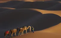 Sa mạc Sahara có thể biến thành nhà máy điện khổng lồ