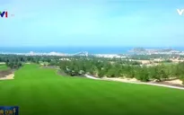 Phát huy nhân tố đặc sắc "đất võ trời văn" của Bình Định để làm du lịch
