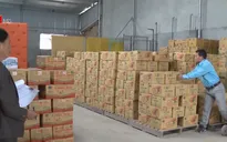 Siết chặt quản lý, tránh tăng giá hàng hóa dịp Tết