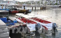 Cấm thuyền trưởng tàu du lịch hoạt động trên vịnh Hạ Long vì thu phí cao khách nước ngoài