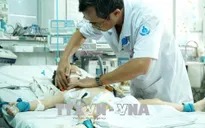 Liên tiếp hai trẻ bị chó nhà cắn trọng thương phải nhập viện