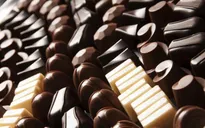 Chocolate có thể biến mất vào năm 2050