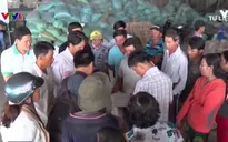 “Cò lúa” quỵt tiền, nông dân Hậu Giang điêu đứng