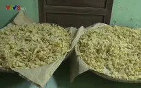 Làng nghề bánh mứt ở Huế vào vụ Tết