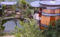 Ấn tượng mạnh với homestay "Thung lũng rượu vang"