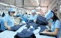 Bức tranh lạc quan của ngành dệt may