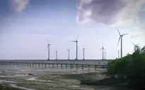 Năng lượng tái tạo và khả năng phát triển tại Việt Nam