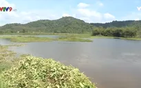 Người dân Đồng Nai bức xúc vì hậu quả khai thác than bùn kéo dài