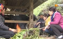 Rét đậm ảnh hưởng tới đời sống của người dân các tỉnh miền núi