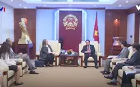 Bộ Thông tin và Truyền thông làm việc với đại diện Google