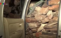 Bắt vụ vận chuyển 2 tấn gỗ trắc trái phép