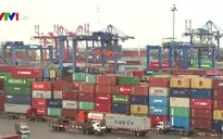 Hải quan TP.HCM bị khiếu nại tăng 258% trong năm 2017