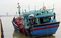 Đưa hai tàu cá trôi dạt trên vùng biển Hội An vào bờ an toàn
