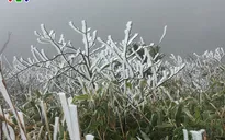 Băng tuyết tuyệt đẹp ở Sa Pa khiến du khách thích thú